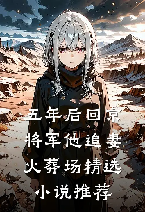 五年后回京，将军他追妻火葬场精选小说推荐