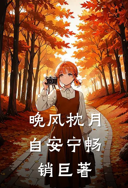 晚风枕月自安宁畅销巨著