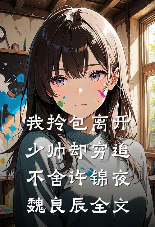 我拎包离开，少帅却穷追不舍许锦夜魏良辰全文
