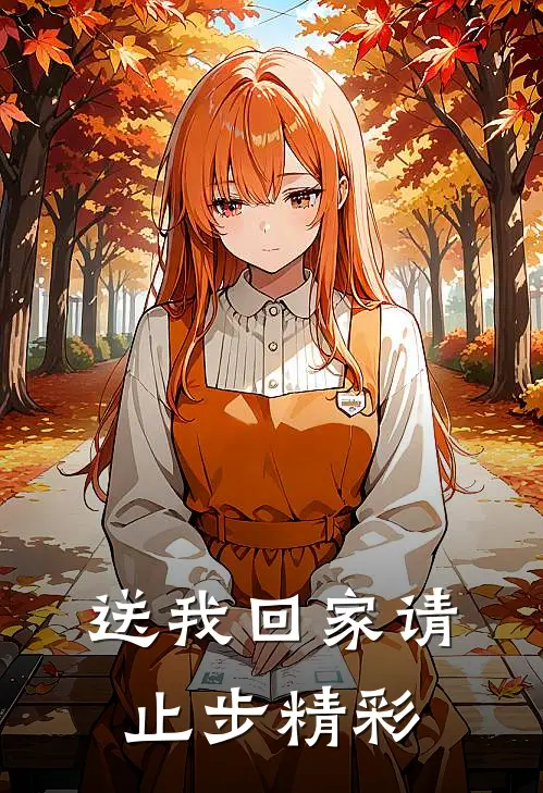 送我回家请止步精彩