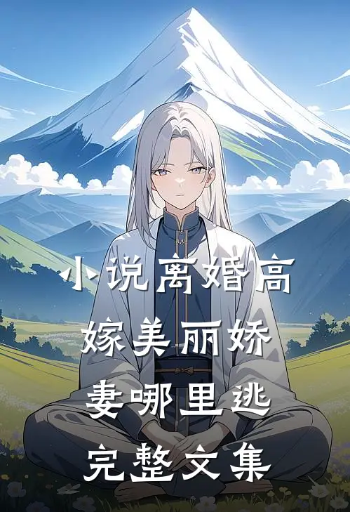 小说离婚高嫁美丽娇妻哪里逃完整文集