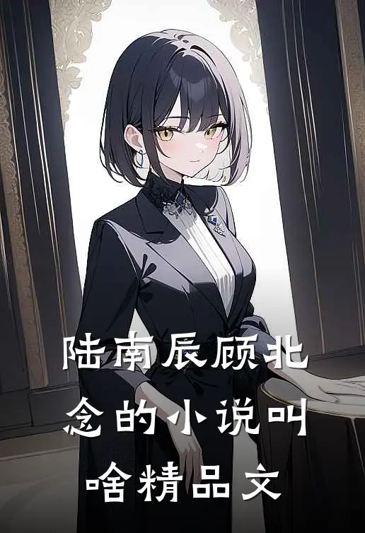 陆南辰顾北念的小说叫啥精品文