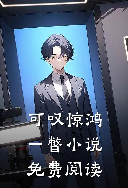 可叹惊鸿一瞥小说免费阅读
