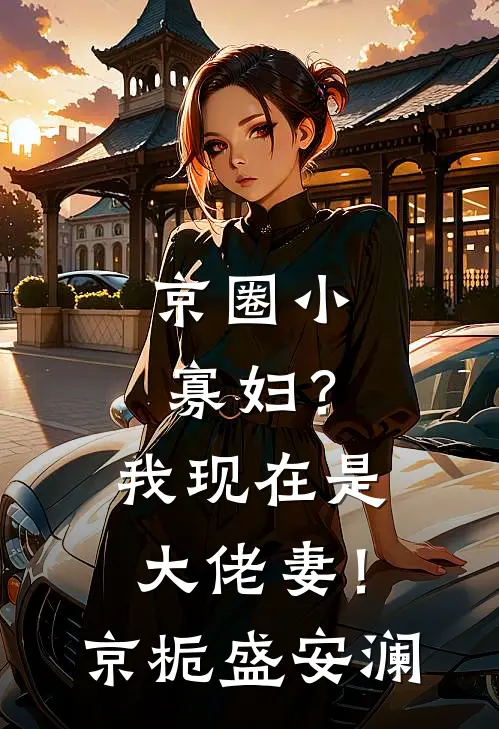 京圈小寡妇？我现在是大佬妻！京栀盛安澜