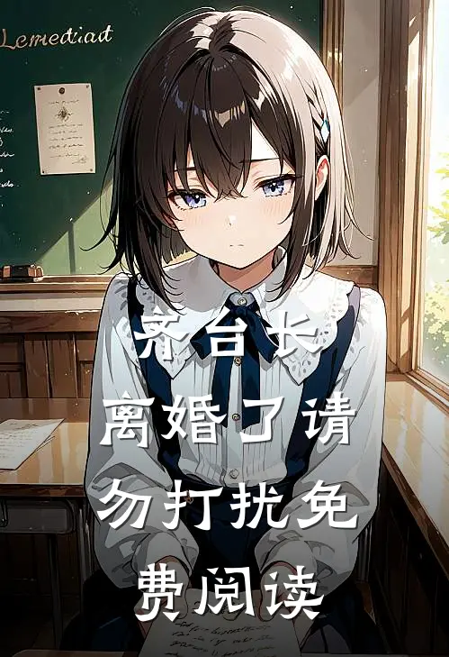 齐台长，离婚了请勿打扰免费阅读