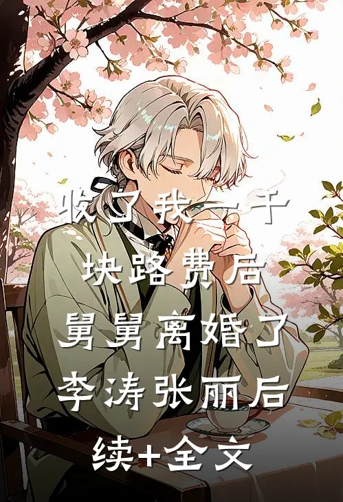 收了我一千块路费后，舅舅离婚了李涛张丽后续+全文