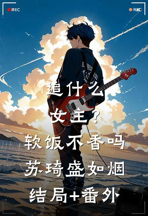 追什么女主？软饭不香吗苏琦盛如烟结局+番外