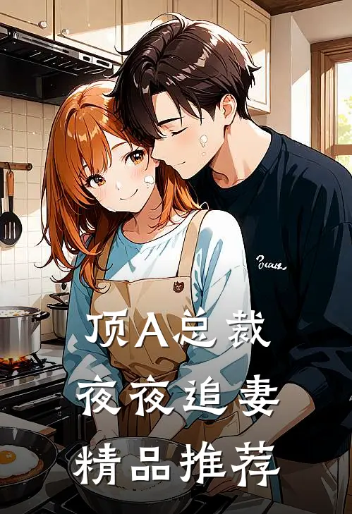 顶A总裁夜夜追妻精品推荐