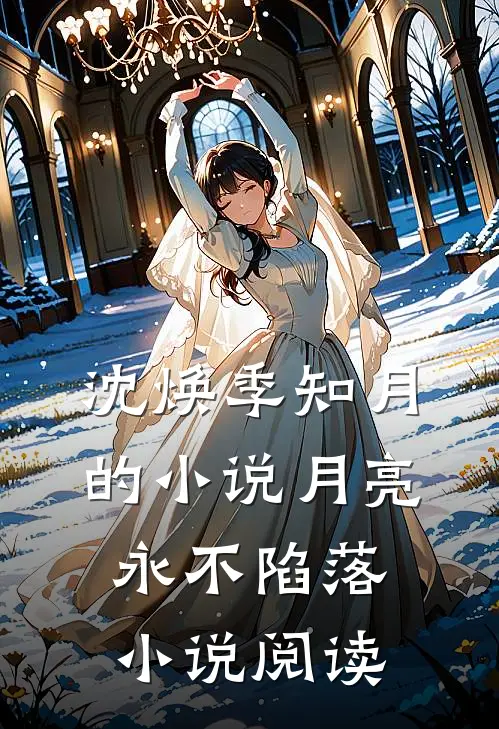 沈焕季知月的小说月亮永不陷落小说阅读