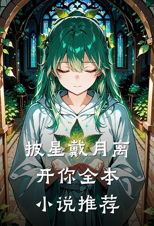披星戴月离开你全本小说推荐