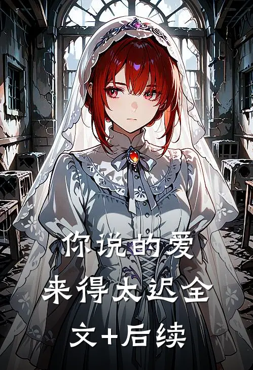 你说的爱，来得太迟全文+后续
