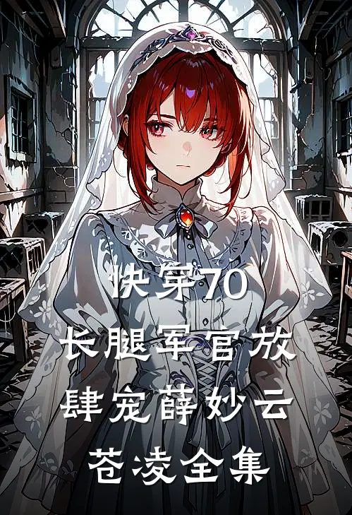 快穿70：长腿军官放肆宠薛妙云苍凌全集