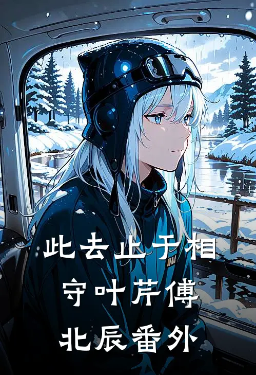 此去止于相守叶芹傅北辰番外