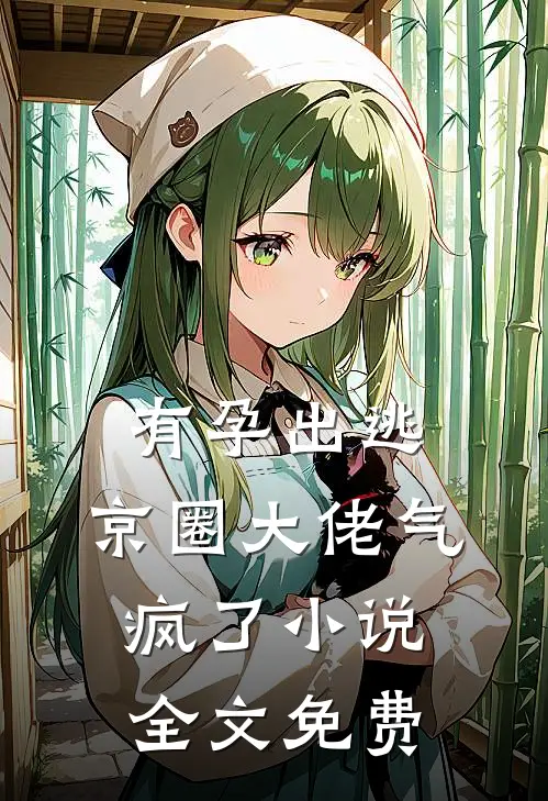 有孕出逃，京圈大佬气疯了小说全文免费
