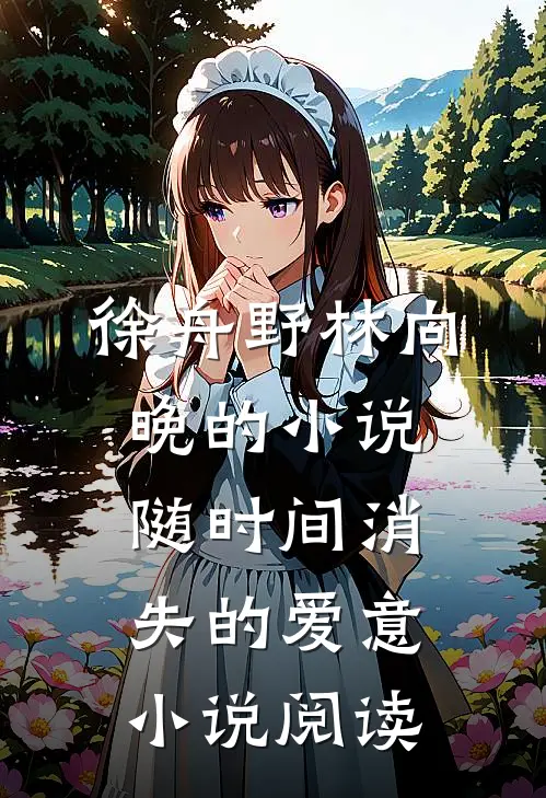 徐舟野林向晚的小说随时间消失的爱意小说阅读