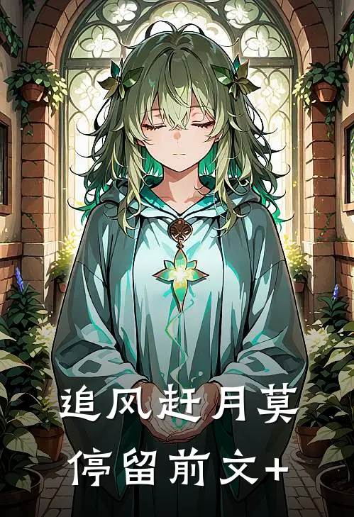 追风赶月莫停留前文+