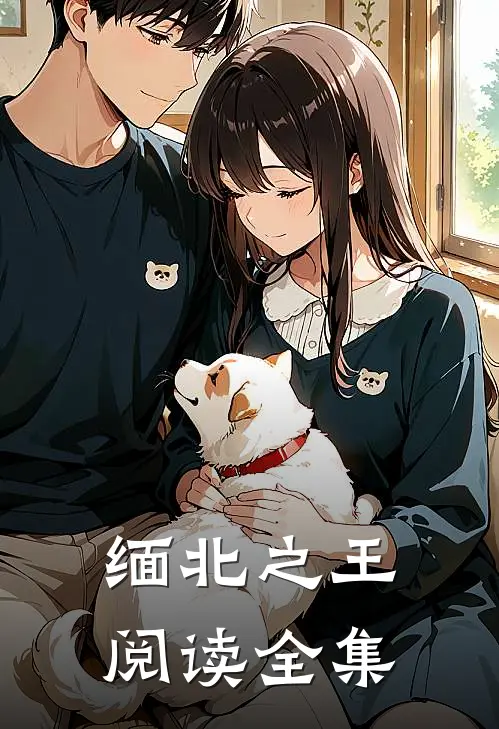 缅北之王阅读全集