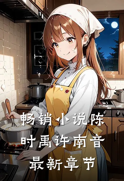 畅销小说陈时禹许南音最新章节