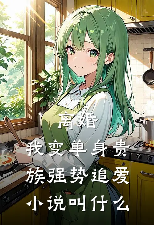 离婚：我变单身贵族强势追爱小说叫什么