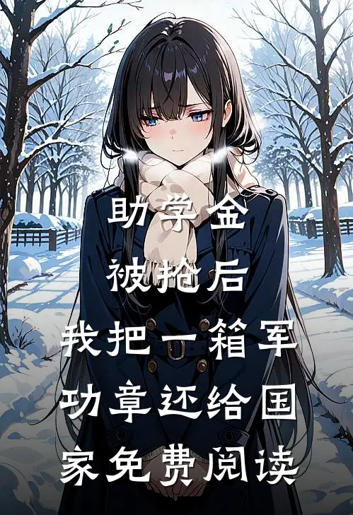 助学金被抢后，我把一箱军功章还给国家免费阅读
