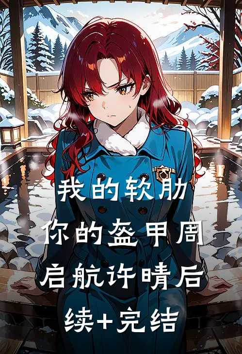 我的软肋，你的盔甲周启航许晴后续+完结