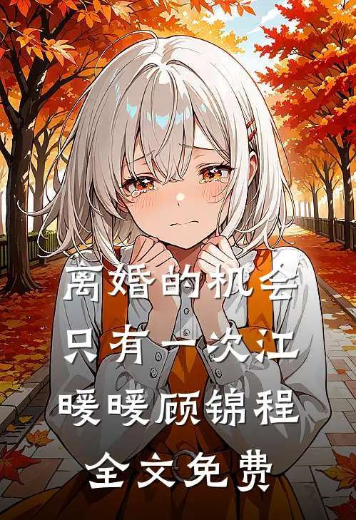 离婚的机会只有一次江暖暖顾锦程全文免费