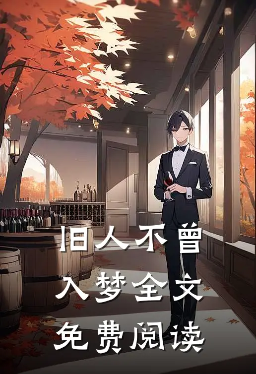 旧人不曾入梦全文免费阅读