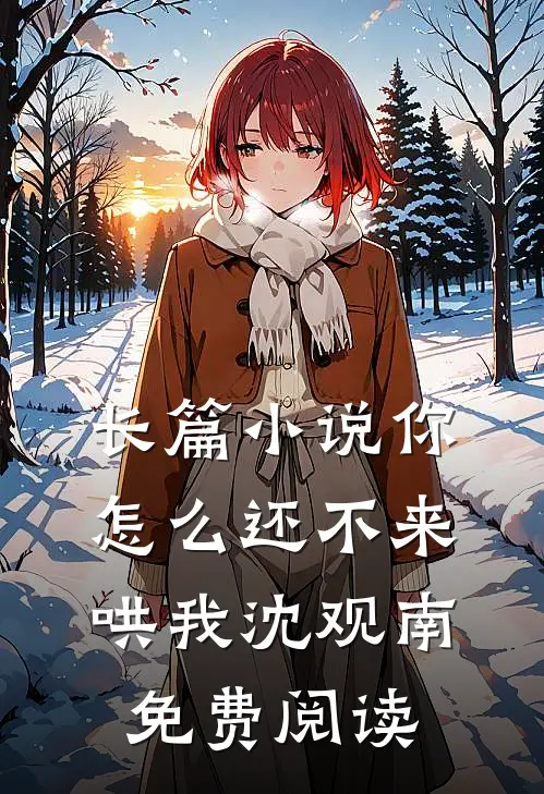 长篇小说你怎么还不来哄我沈观南免费阅读