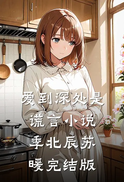 爱到深处是谎言小说季北辰苏暖完结版