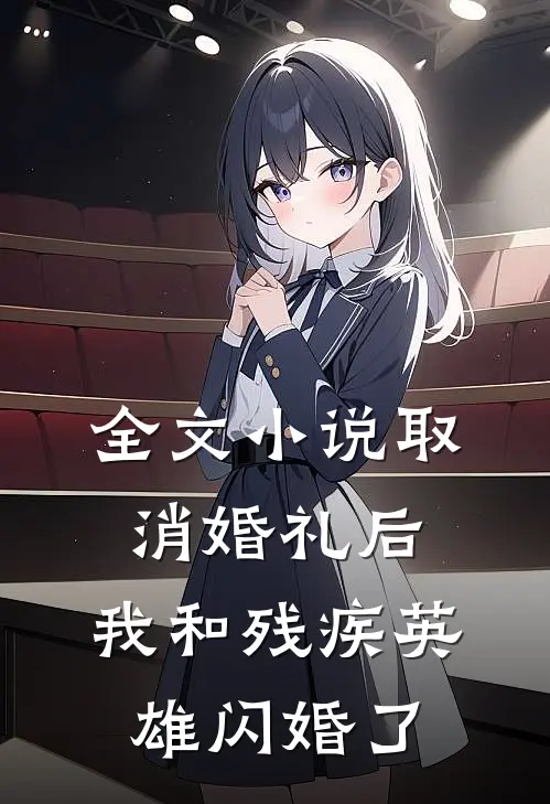 全文小说取消婚礼后，我和残疾英雄闪婚了