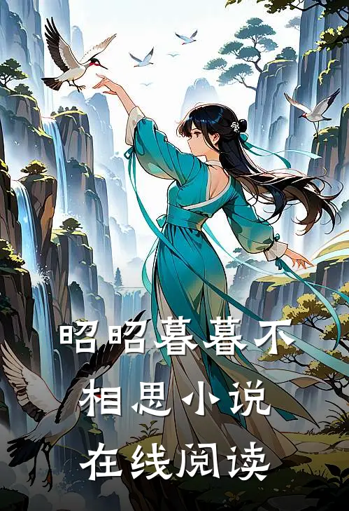 昭昭暮暮不相思小说在线阅读