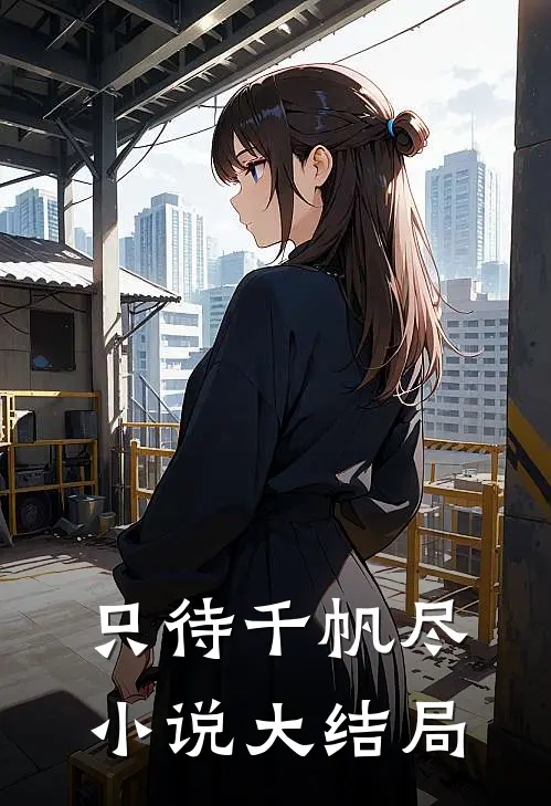 只待千帆尽小说大结局