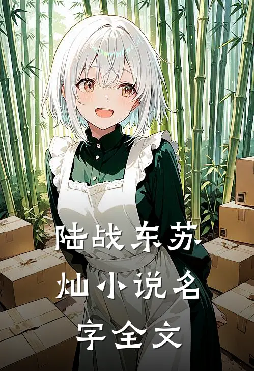 陆战东苏灿小说名字全文