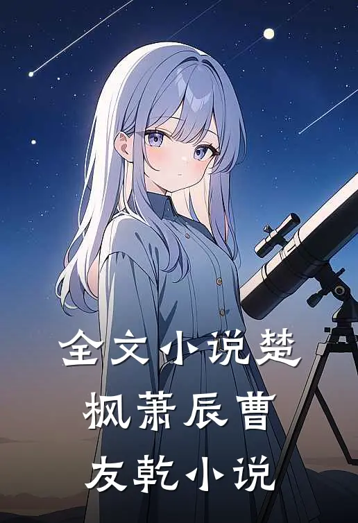 全文小说楚枫萧辰曹友乾小说