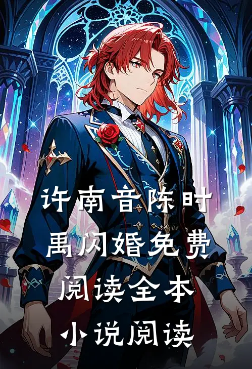 许南音陈时禹闪婚免费阅读全本小说阅读