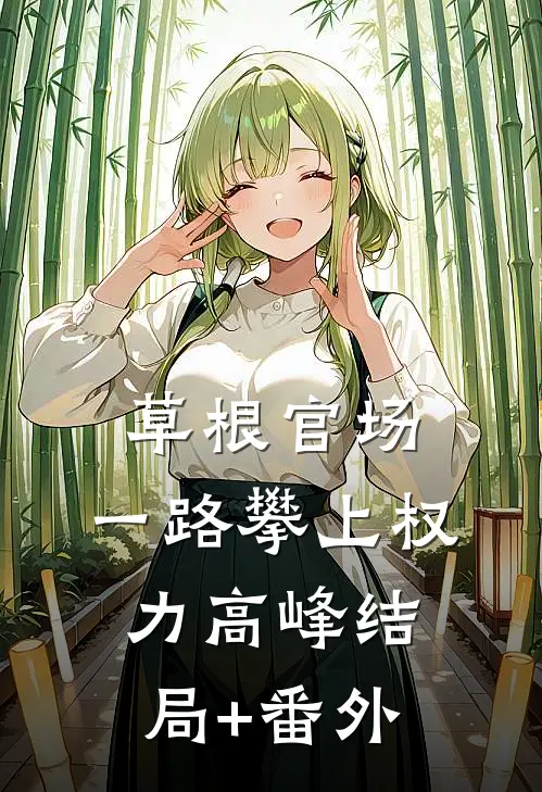 草根官场：一路攀上权力高峰结局+番外