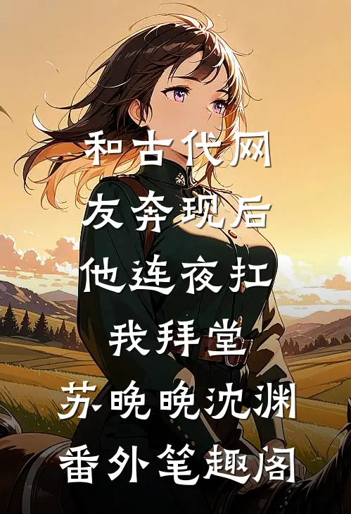 和古代网友奔现后，他连夜扛我拜堂：苏晚晚沈渊番外笔趣阁