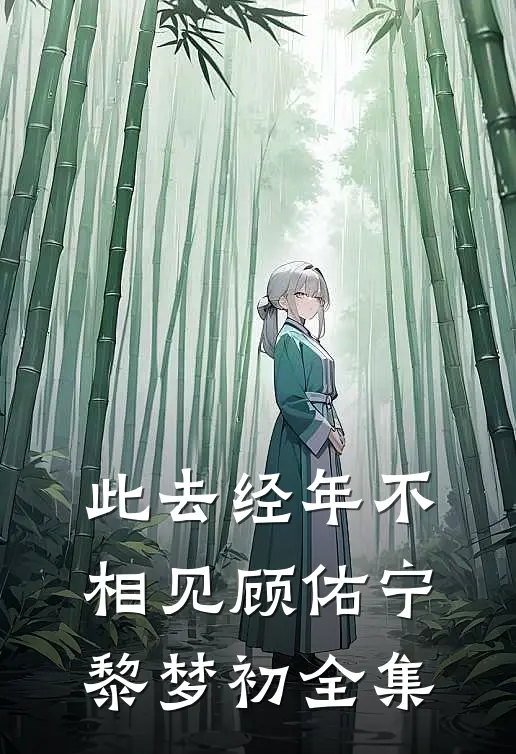此去经年不相见顾佑宁黎梦初全集