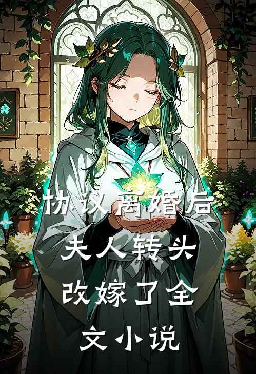 协议离婚后，夫人转头改嫁了全文小说