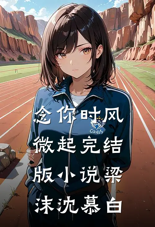 念你时风微起完结版小说梁沫沈慕白