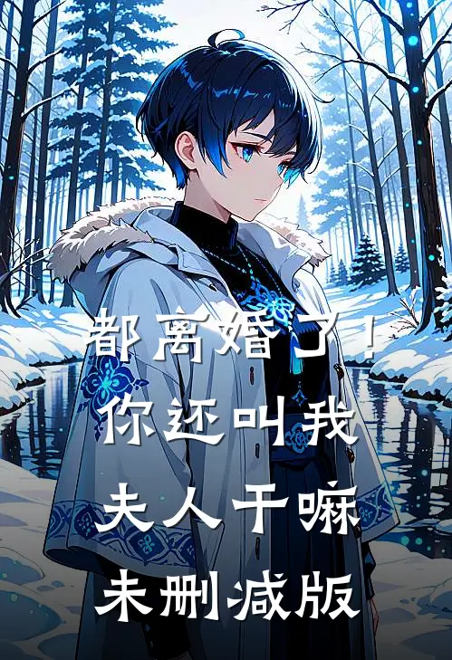 都离婚了！你还叫我夫人干嘛未删减版