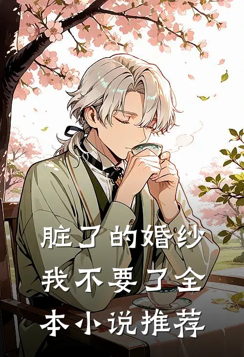 脏了的婚纱，我不要了全本小说推荐