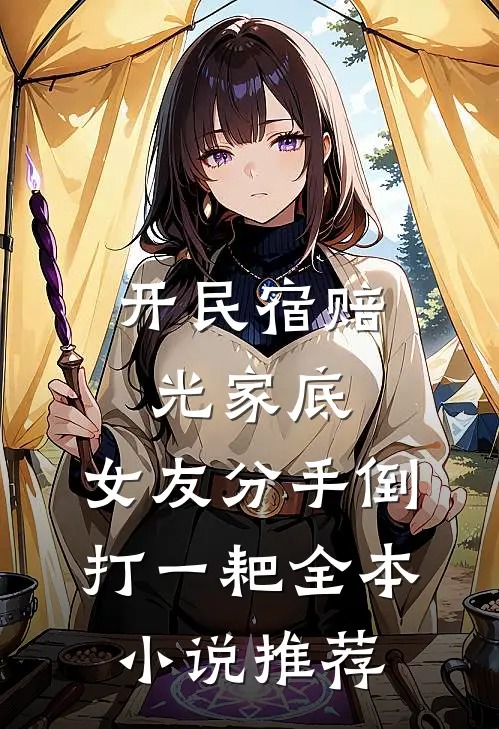 开民宿赔光家底，女友分手倒打一耙全本小说推荐
