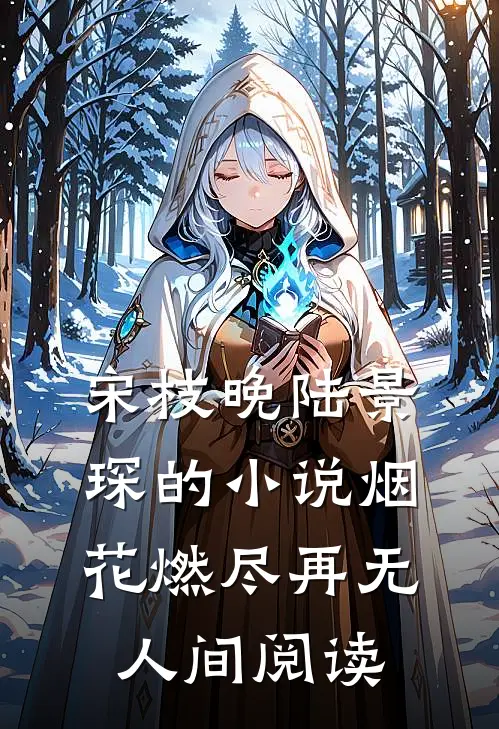 宋枝晚陆景琛的小说烟花燃尽再无人间阅读
