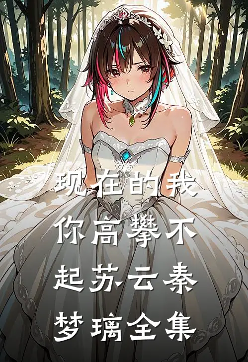 现在的我你高攀不起苏云秦梦璃全集