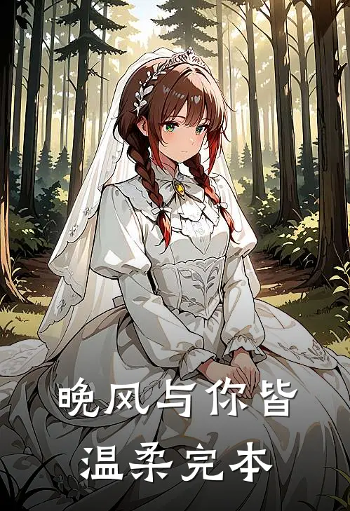 晚风与你皆温柔完本
