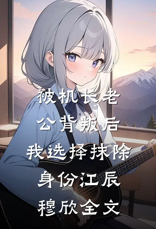 被机长老公背叛后，我选择抹除身份江辰穆欣全文
