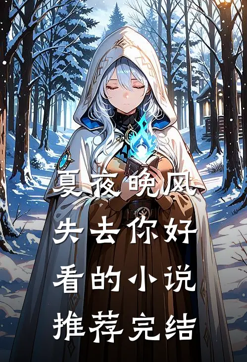 夏夜晚风失去你好看的小说推荐完结