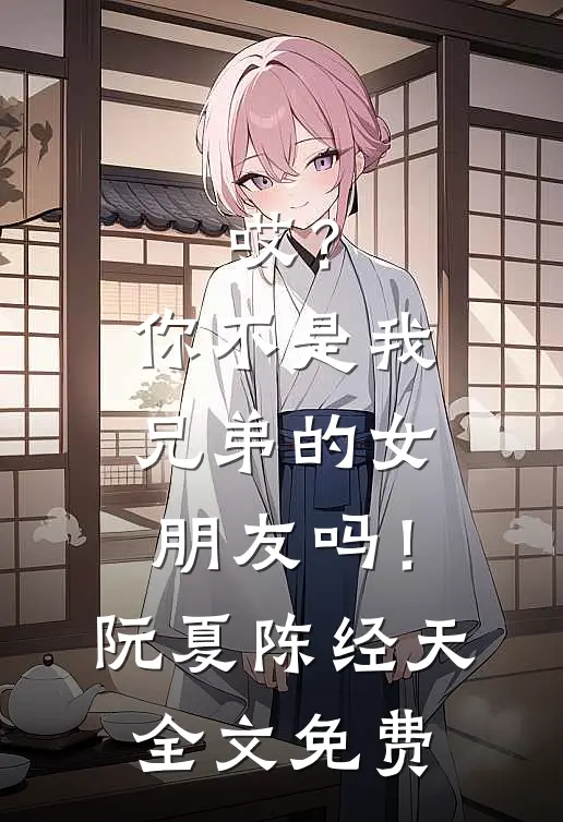 哎？你不是我兄弟的女朋友吗！阮夏陈经天全文免费