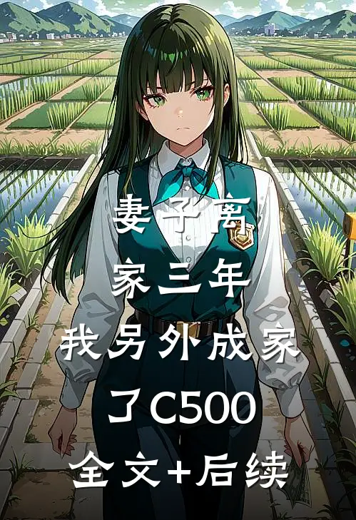 妻子离家三年，我另外成家了C500全文+后续